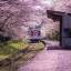 Станция Ураносаки в период весеннего цветения