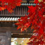Осень, Замок Хиросаки, префектура Аомори