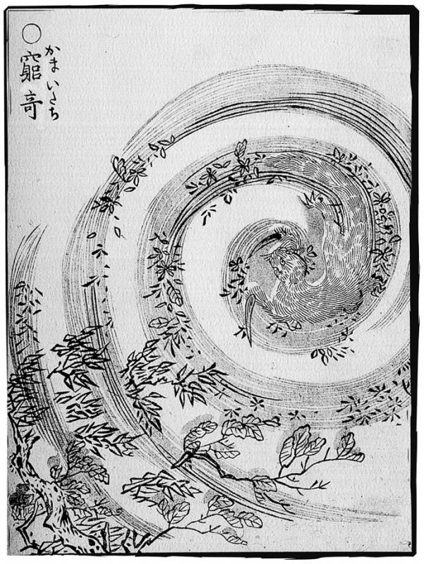 "Иллюстрированный ночной парад 100 демонов" (画図百鬼夜行, 1776), часть первая "Инь" (陰).