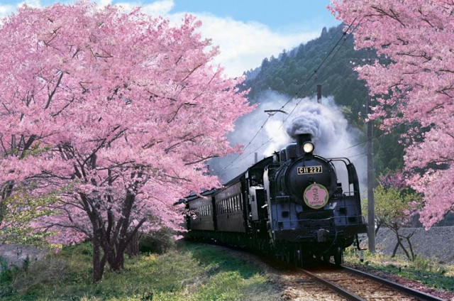 Япония и поезда