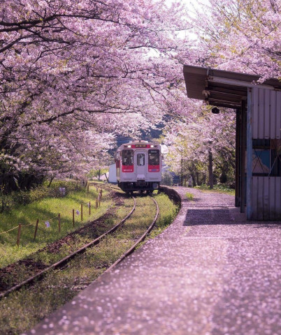 Станция Ураносаки в период весеннего цветения