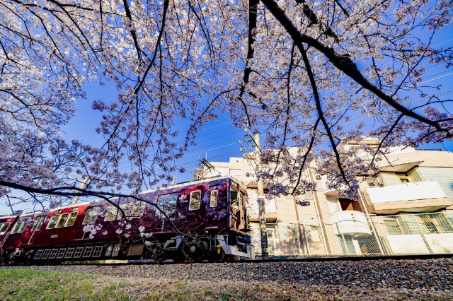 Специально украшенный поезд курсирует между Осака-умэда и Киото-каварамати по субботам, воскресеньям и праздникам.
