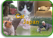 A Cat's-Eye View of Japan