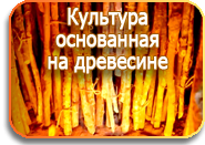 Culture built on wood