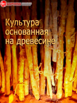 Culture built on wood