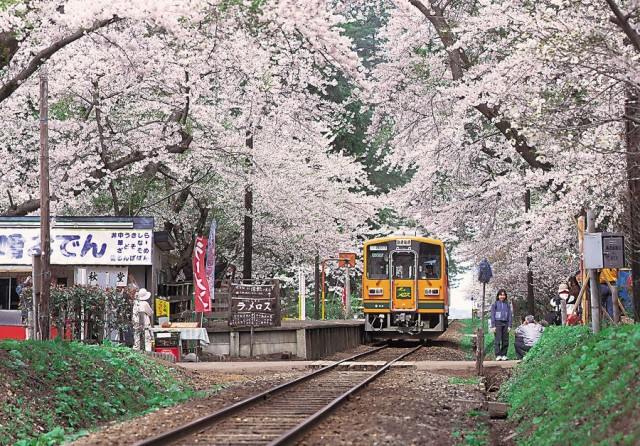 Экскурсионные поезда в Японии