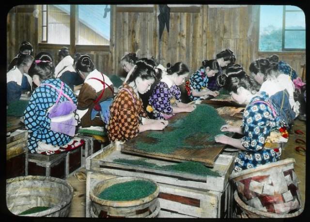 Чайная история Японии на фотографиях столетней давности