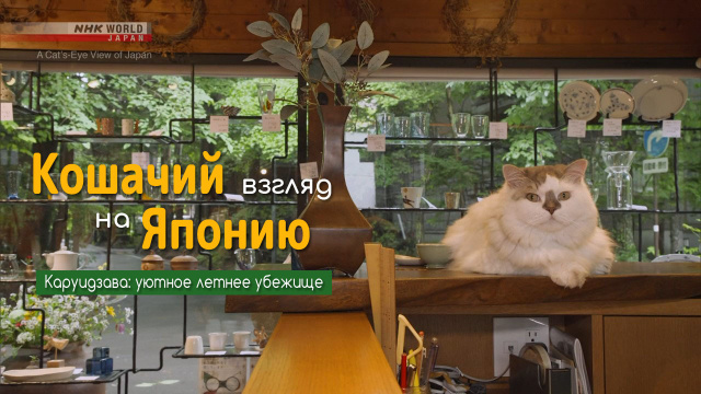 Каруидзава: уютное летнее убежище | Кошачий взгляд на Японию / A Cat's-Eye View of Japan