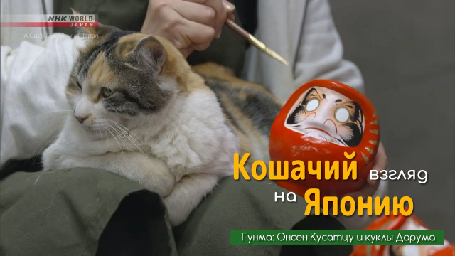 Гунма: Онсен Кусатцу и куклы Дарума | Кошачий взгляд на Японию / A Cat's-Eye View of Japan