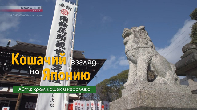 Айти: храм кошек и керамика | Кошачий взгляд на Японию / A Cat's-Eye View of Japan