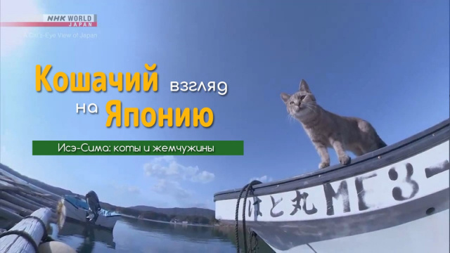 Исэ-Сима: коты и жемчужины - Кошачий взгляд на Японию / A Cat's-Eye View of Japan