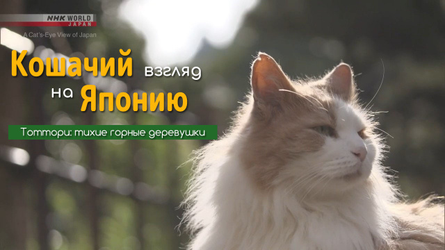 Тоттори: Тихие горные деревушки | Кошачий взгляд на Японию / A Cat's-Eye View of Japan