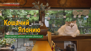 Каруидзава: уютное летнее убежище | Кошачий взгляд на Японию / A Cat's-Eye View of Japan