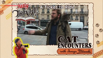 ВСТРЕЧАЯ КОТОВ: катание верхом | CAT ENCOUNTERS A Ticket to Ride - A Cat s-Eye View of Japan [Anything Group]