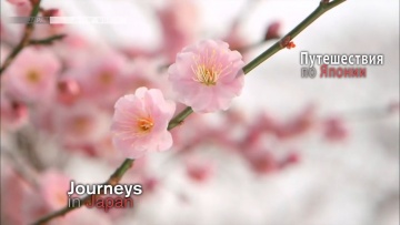 Мито. Сады, традиции и весенние цветы | Путешествия по Японии / Journeys in Japan