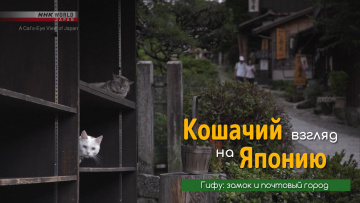 Гифу: замок и почтовый город | Кошачий взгляд на Японию / A Cat's-Eye View of Japan