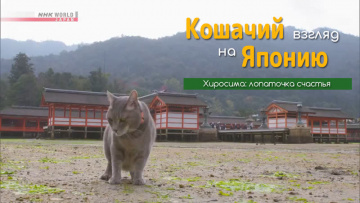 Хиросима: лопаточка счастья - Кошачий взгляд на Японию / A Cat's-Eye View of Japan