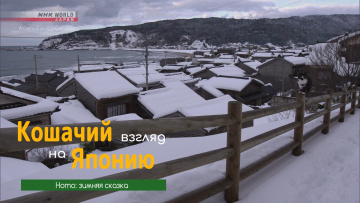 Ното: зимняя сказка - Кошачий взгляд на Японию / Noto  A Winter Wonderland - A Cat s-Eye View of Japan