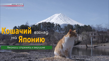 Яманаси: стремясь к вершине - Кошачий взгляд на Японию / A Cat's-Eye View of Japan