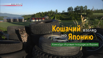 Хоккайдо: Игровые площадки в Фурано | Кошачий взгляд на Японию / A Cat's-Eye View of Japan