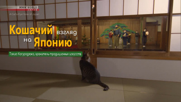 Токио: Кагурадзака, хранитель традиционных искусств - Кошачий взгляд на Японию / A Cat's-Eye View of Japan